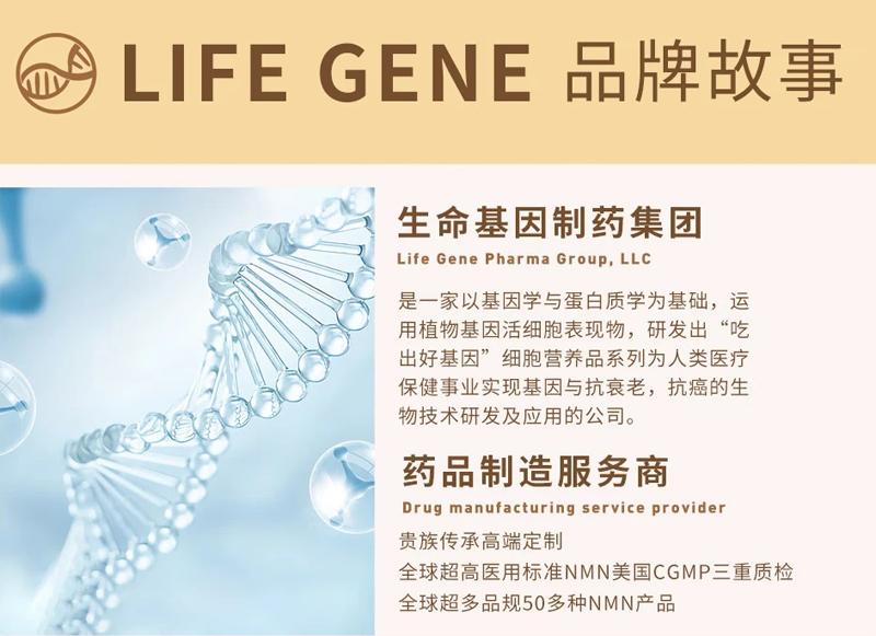 LIFE GENE NMN“莱弗今”—— 抗衰保健圈的顶级“明星品牌”